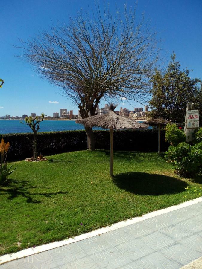 Cabo Azul Playa Campello Apartment